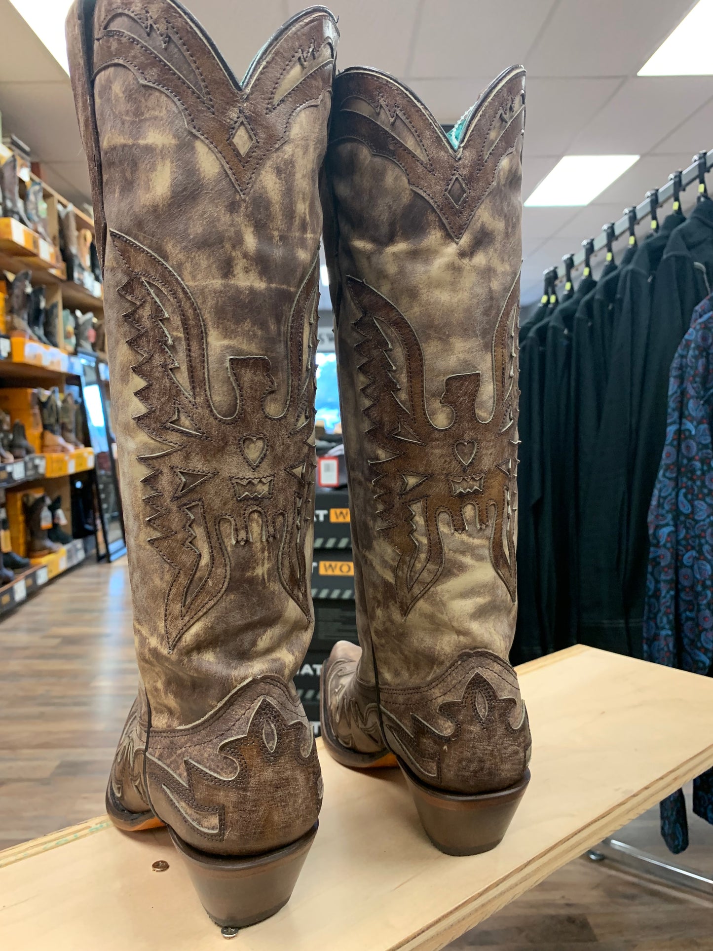 Corral Taupe Brown Eagle Overlay A4303