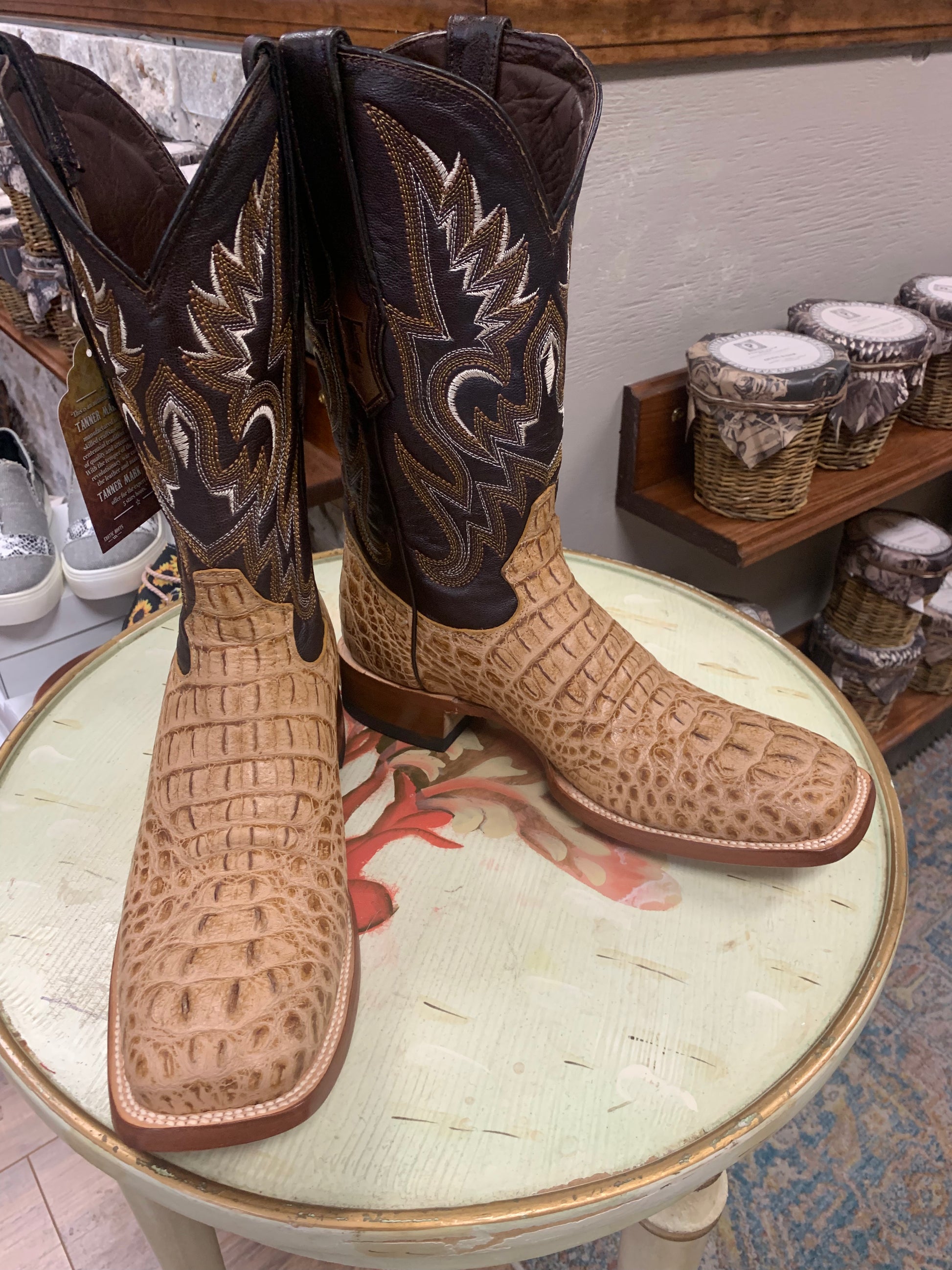 Hornback Gator
