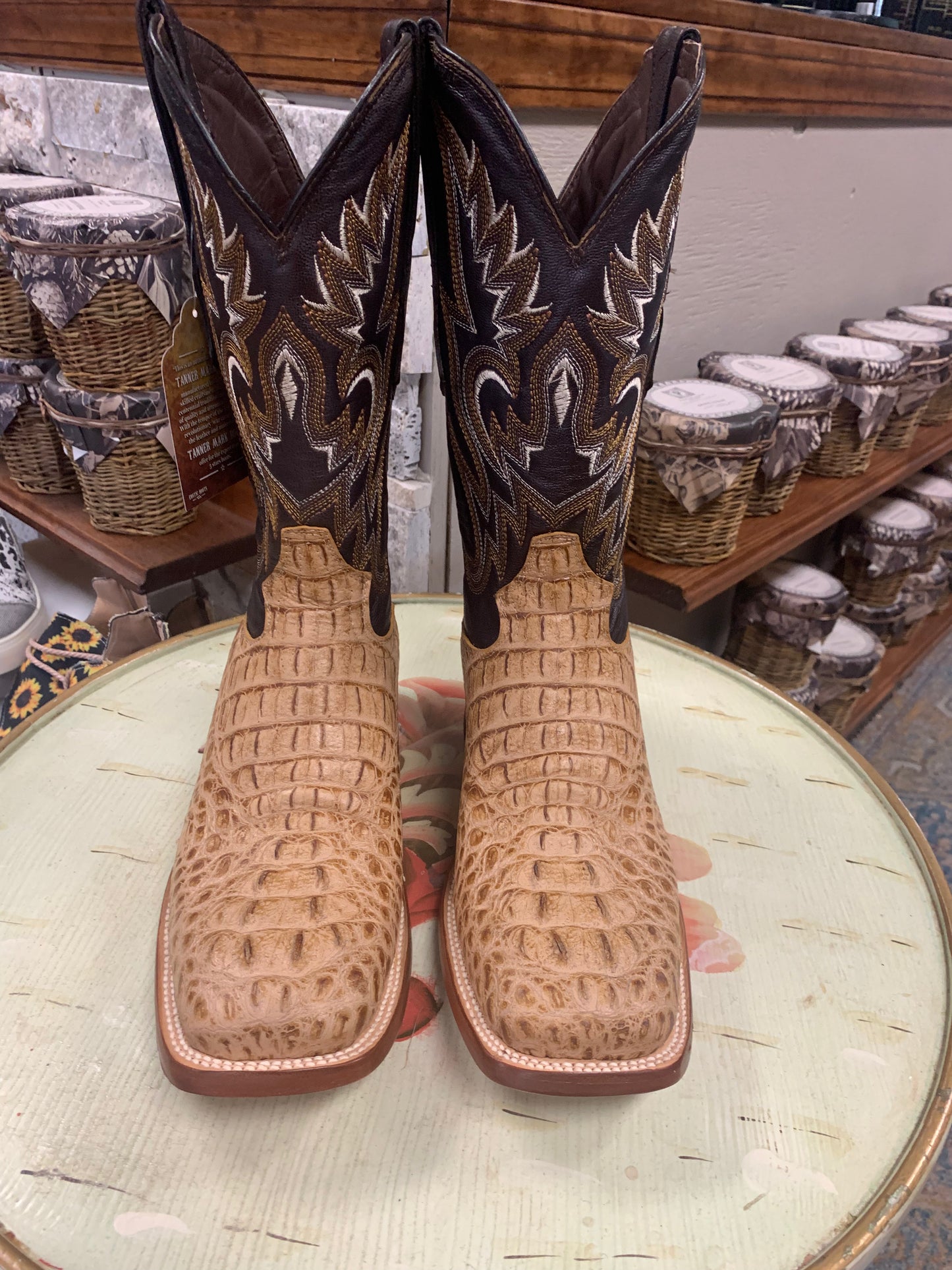 Hornback Gator