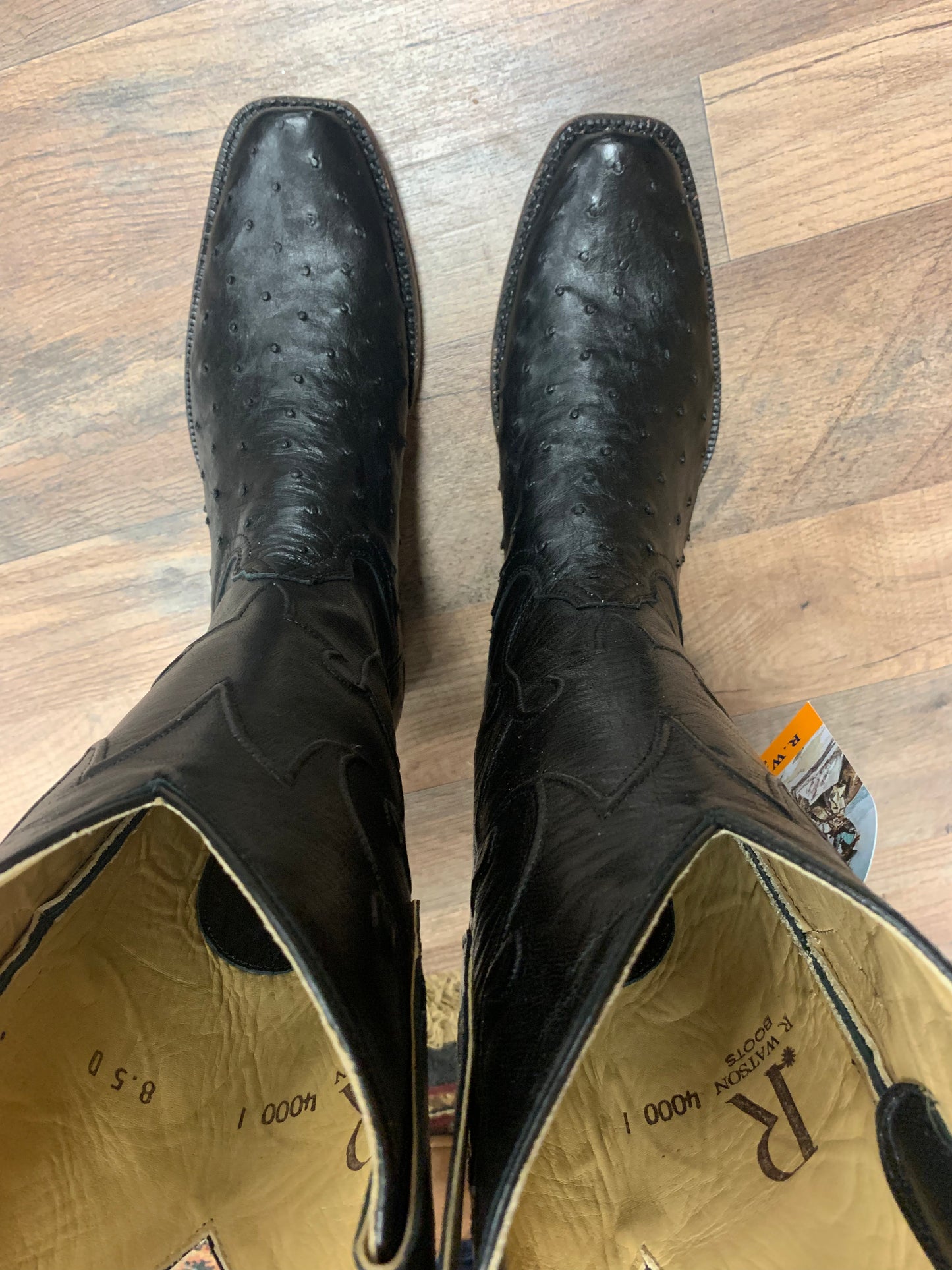 R. Watson Black Full Quill Ostrich