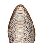 Close-up of a shoe with snake skin pattern on a white background