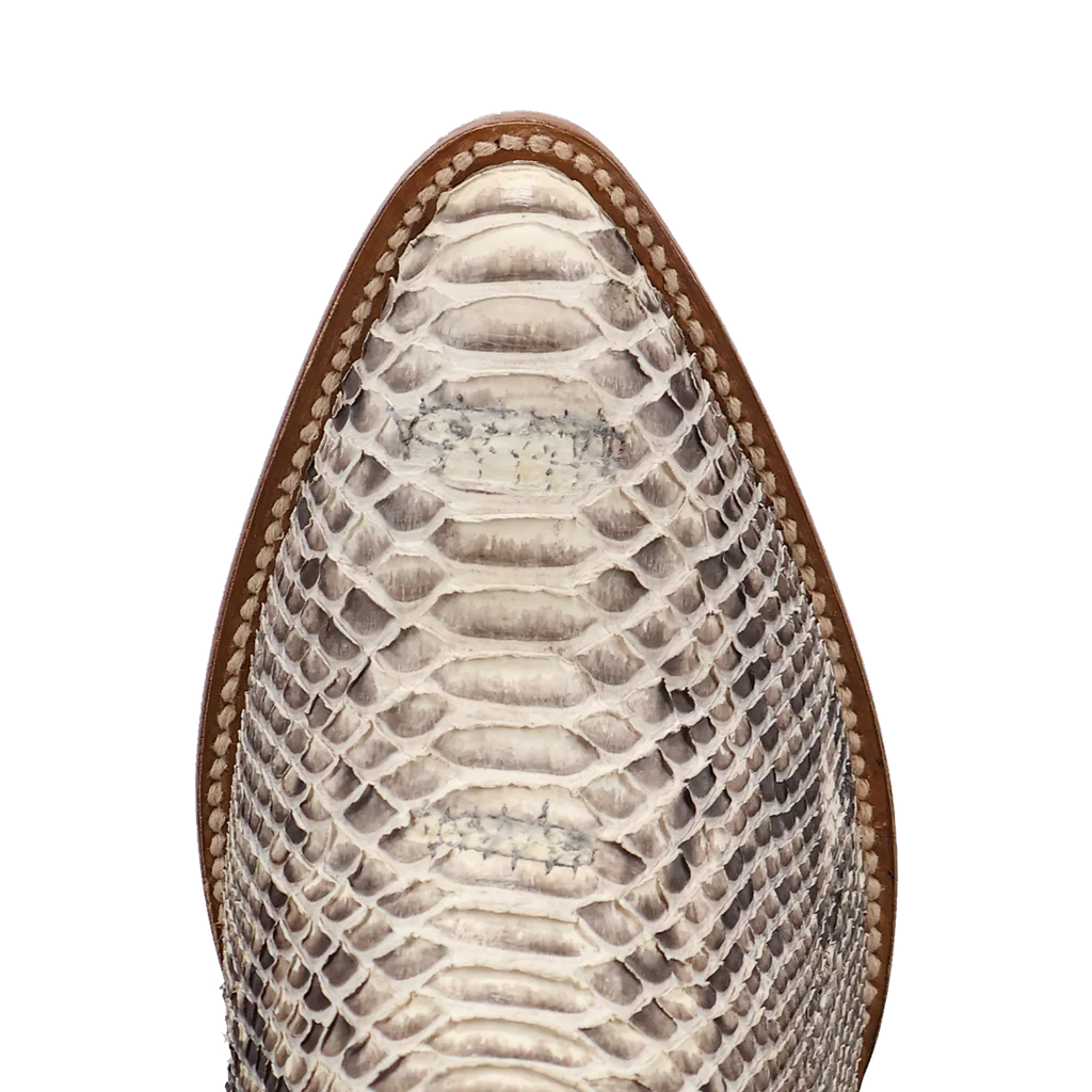 Close-up of a shoe with snake skin pattern on a white background