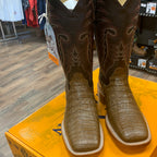 Coco Caiman Belly RW2004